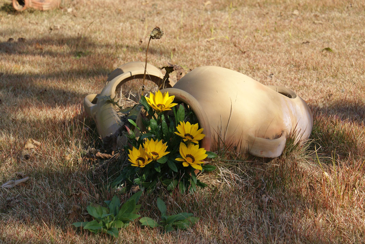 ここはかつての花博会場　行きそびれてしまったので、遅ればせながら行ってきたのです